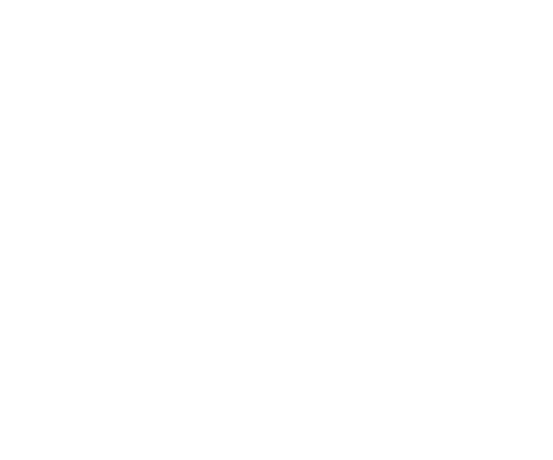 Vaulter
